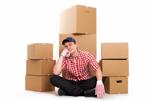 Packing materials and labelled moving boxes